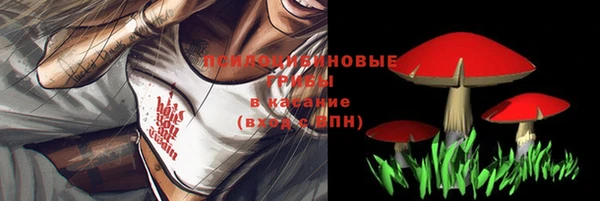 ECSTASY Верхний Тагил